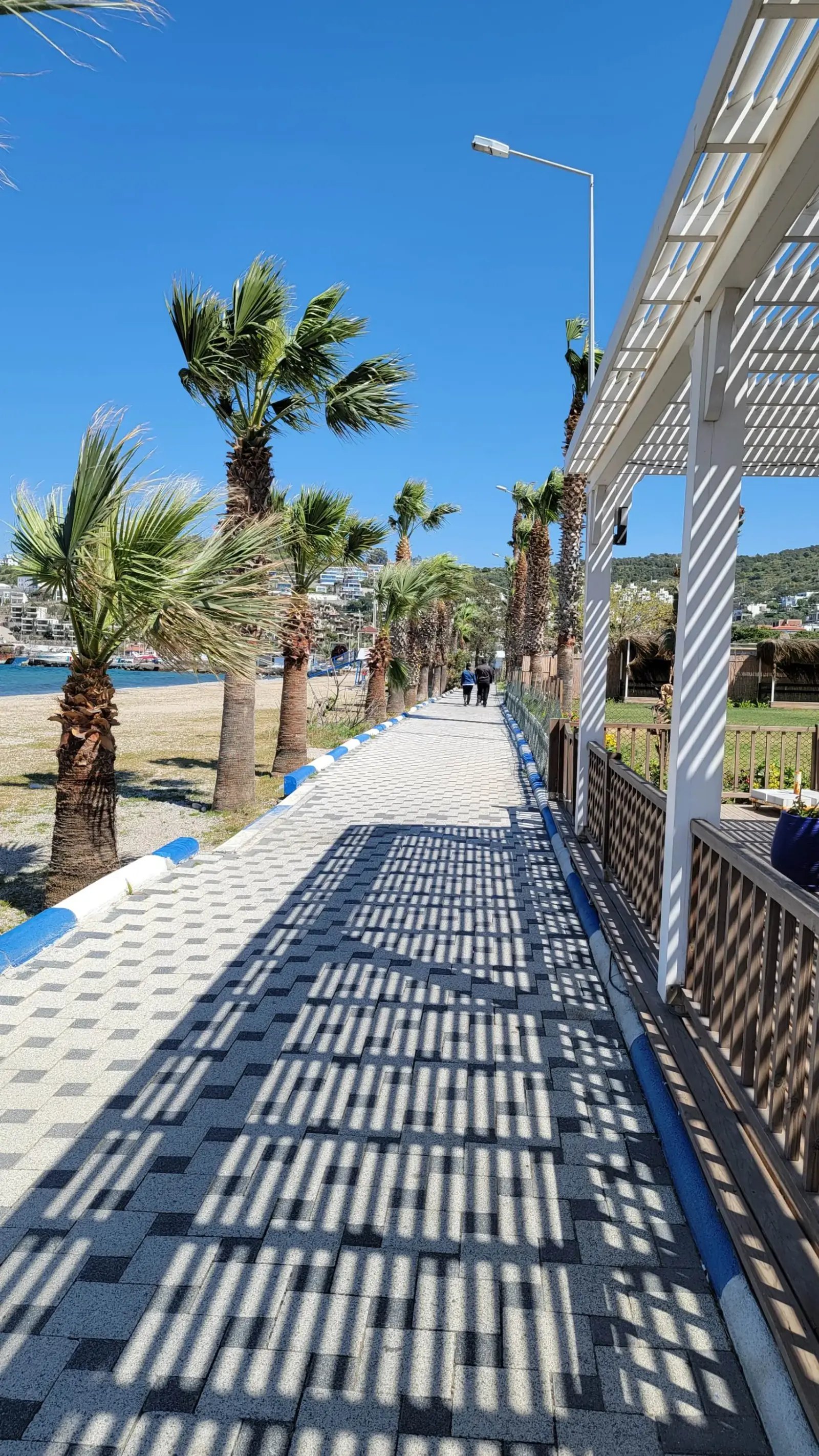 Walkway lined with palm trees and a pergola casting striped shadows, under a clear blue sky.