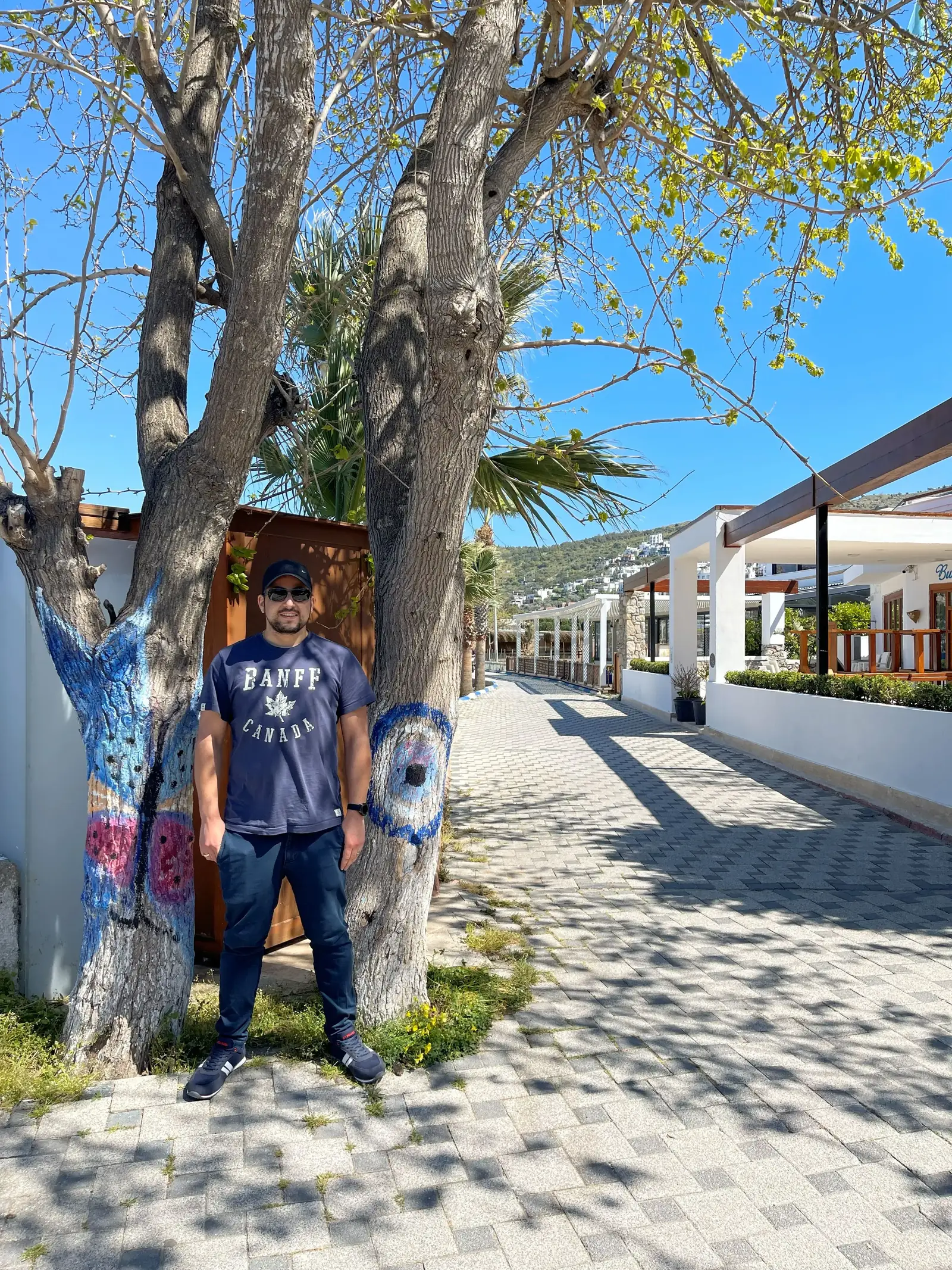 A person wearing sunglasses, a cap, and dark clothing stands beside a tree with mural art in a sunny outdoor area lined with buildings and a paved walkway. Shadows from the tree cover part of the ground.