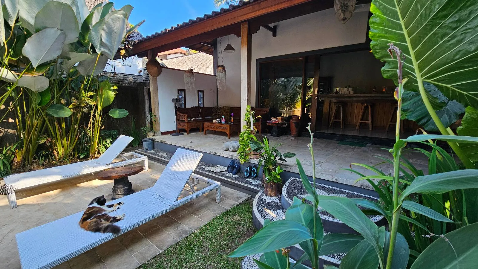 A cozy outdoor patio with two white lounge chairs, one occupied by a cat. Surrounded by lush tropical plants, the patio opens to a shaded seating area and a bar inside a house with wooden accents.