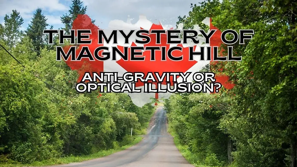 A road going down a hill with trees either side and text that reads The mystery of Magnetic Hill, anti-gravity or optical illusion?