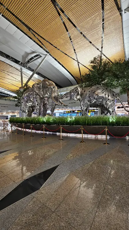 Passengers arriving at Hamad International Airport for a layover during the Discover Doha transit tour in Qatar.