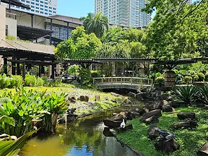 A lush garden with a small stream, rocks, and green plants in Makati, surrounded by tall modern buildings and trees under a bright blue sky near Ayala Triangle Gardens.