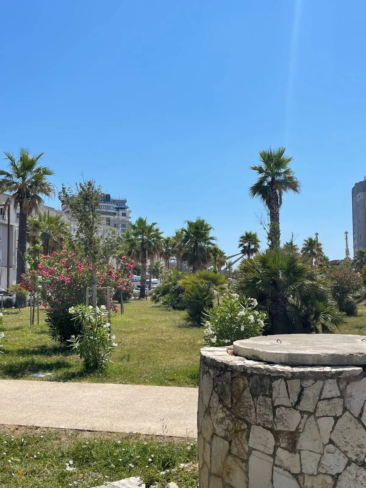 A sunny park scene with palm trees, green grass, and flowering bushes. A stone structure is in the foreground, and modern buildings are visible in the background beneath a clear blue sky.