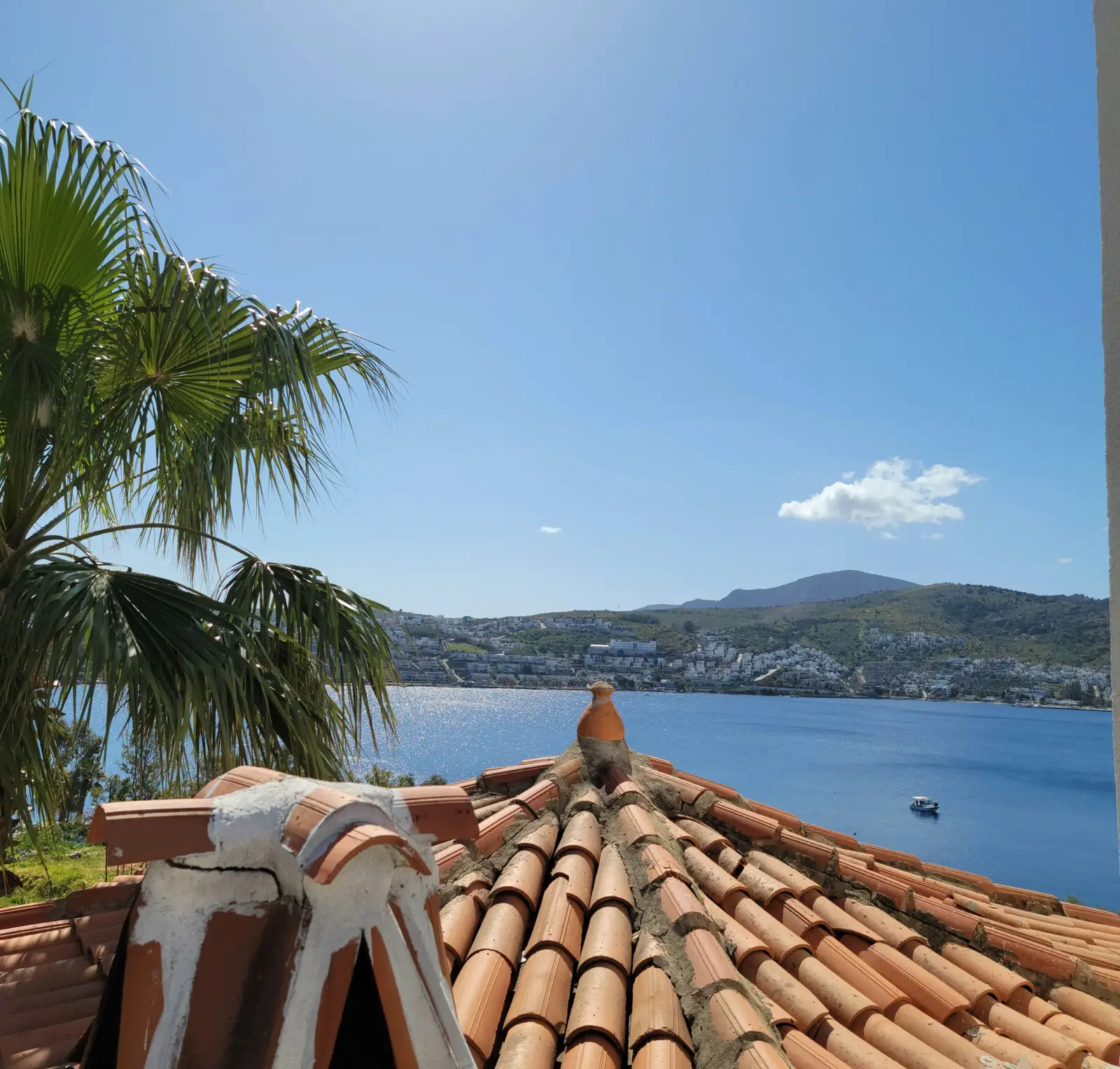 Terracotta roof tiles with a view of the ocean, hills, and a palm tree under a clear blue sky.