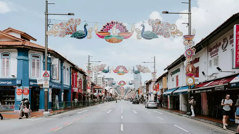 Street with colorful peacock decorations, blue sky, and shops. Few people walking; signs in English and Tamil. Calm atmosphere.