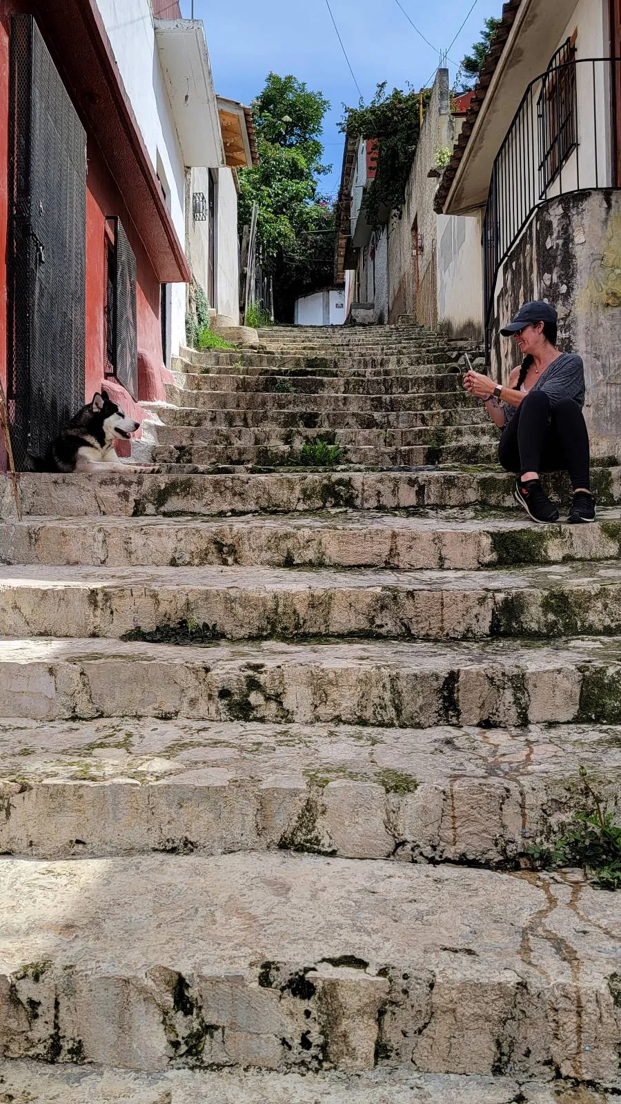 A narrow stone staircase between buildings, leading uphill under a blue sky. A person is seated on the right side, looking at a dog sitting on the left step. Plants and a white wall are visible on the sides.