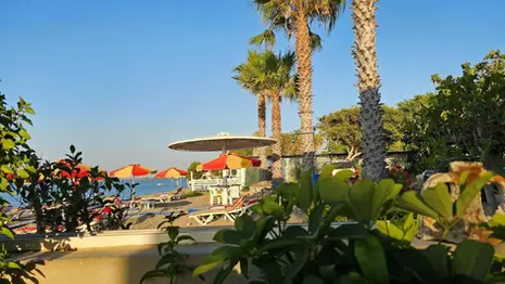 Beachfront view at Mavromatis Taverna in Greece, with palm trees, sun loungers, colorful umbrellas, and the sea visible beyond the shoreline.