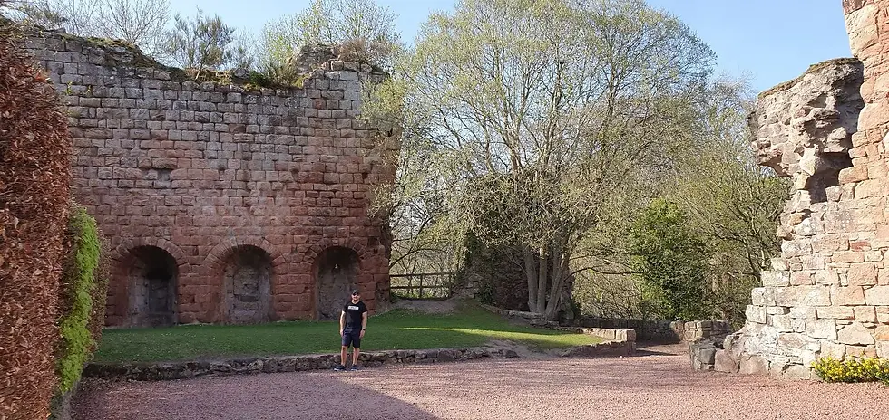 A person in shorts and a T-shirt stands in front of ancient stone ruins, surrounded by trees and greenery, under a clear blue sky.
