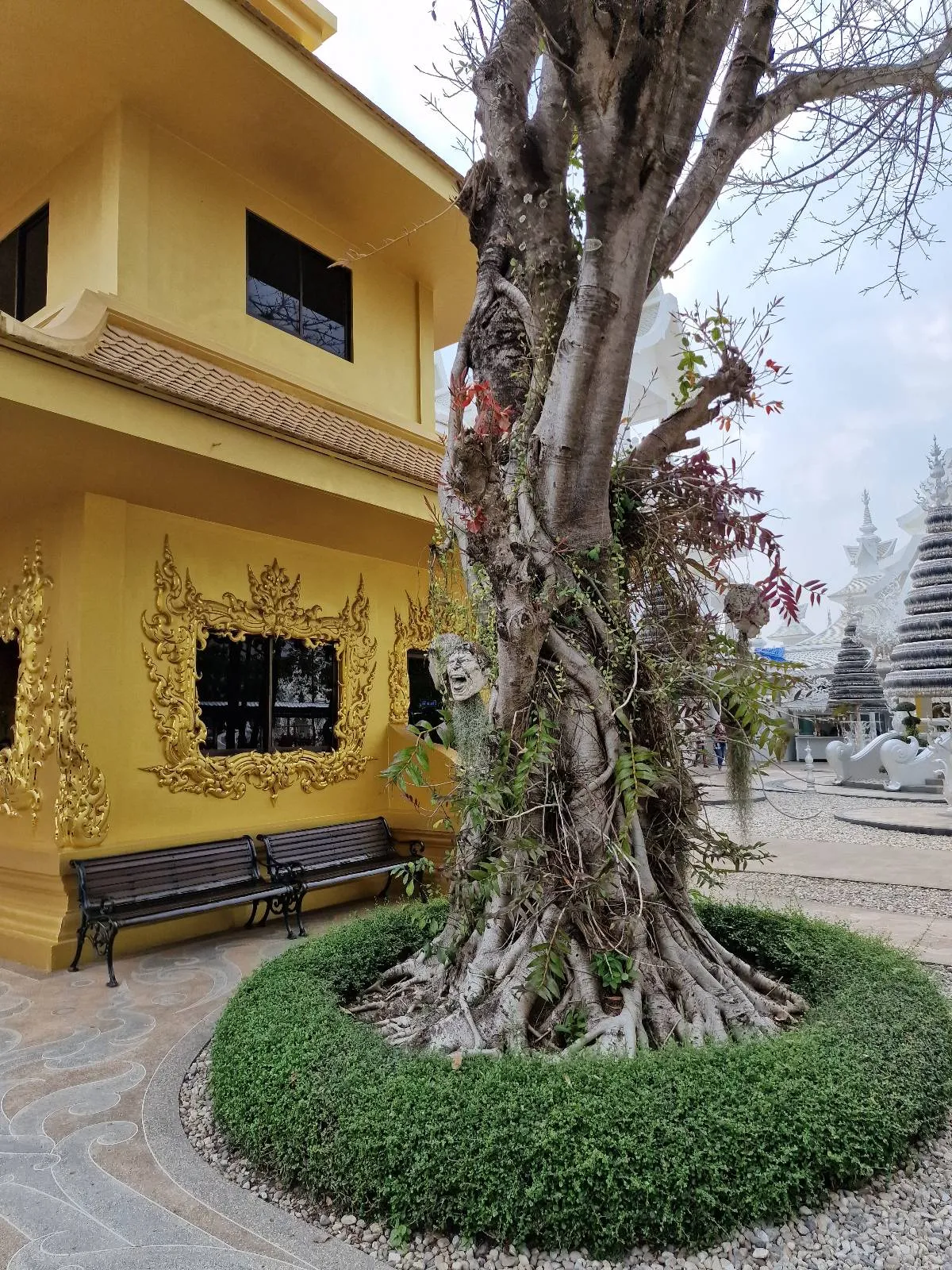 A tree with twisting roots and branches stands surrounded by a circular hedge next to a yellow building with ornate decorations. In the background, there are temple-like structures and a cloudy sky.