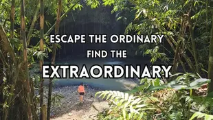 A person walks towards a serene forest pond with the text "escape the ordinary, find the extraordinary" overlaid on the image.