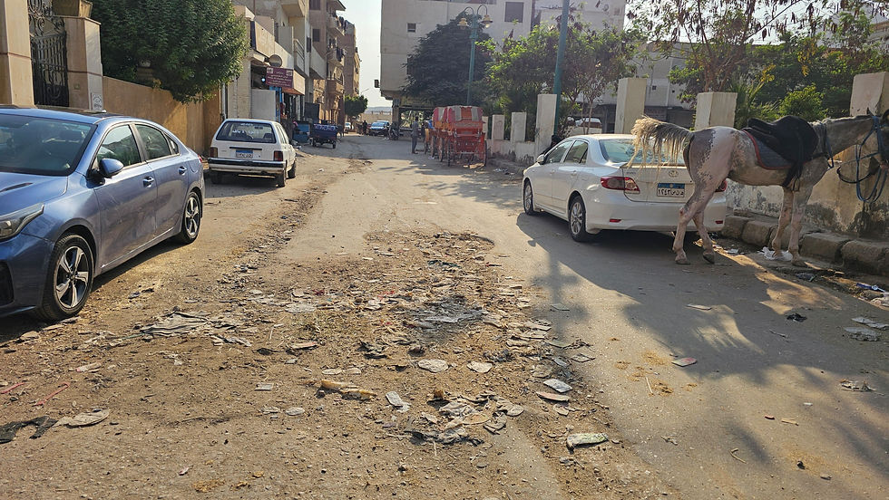 A street with blue and white parked cars, a horse tied to a pole, trash scattered on the road, and buildings lining the background.