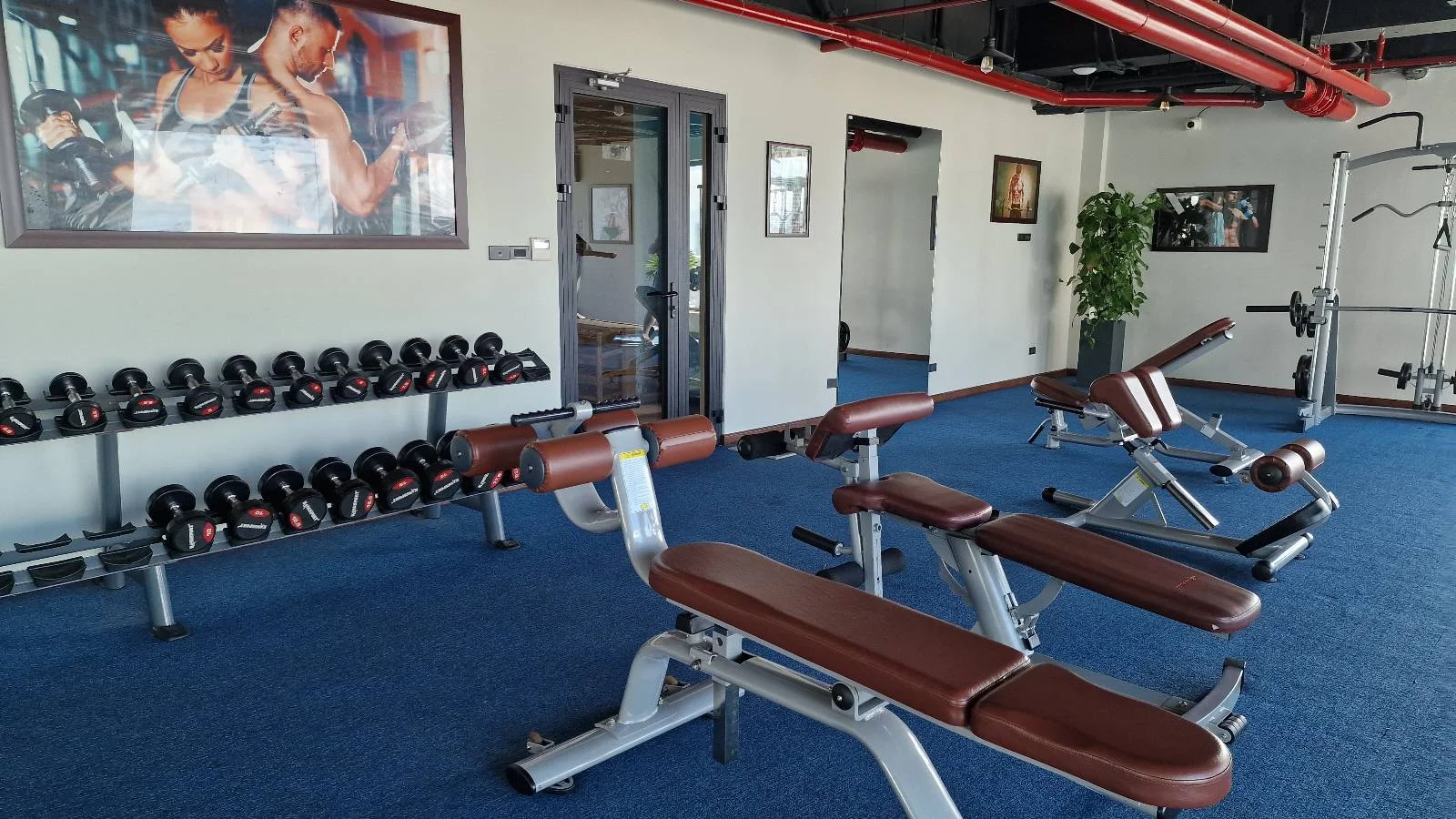 A gym with blue carpet, brown workout benches, a rack of dumbbells, weight machines, a large poster of two athletes on the wall, and a green plant near the entrance. The room is well-lit and spacious.