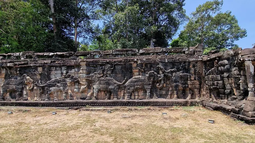 Ancient stone wall with elephant carvings and tree background. Clear blue sky, lush greenery, and sunlit grass in foreground.