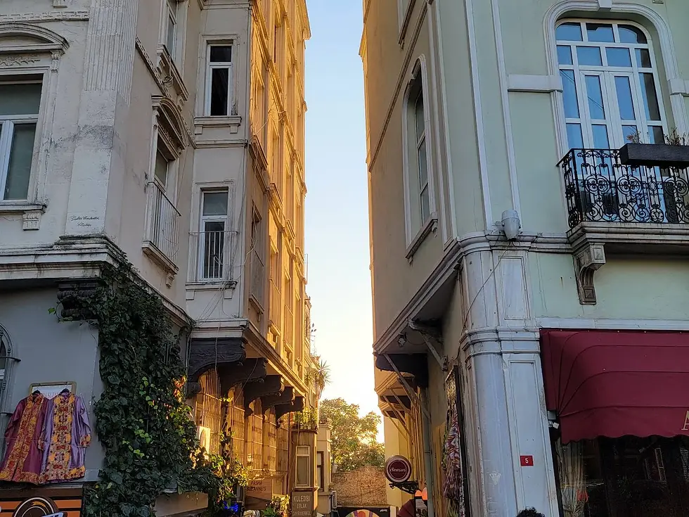 Narrow alley between two tall buildings with a glimpse of the sky above, framed by greenery and architectural details.