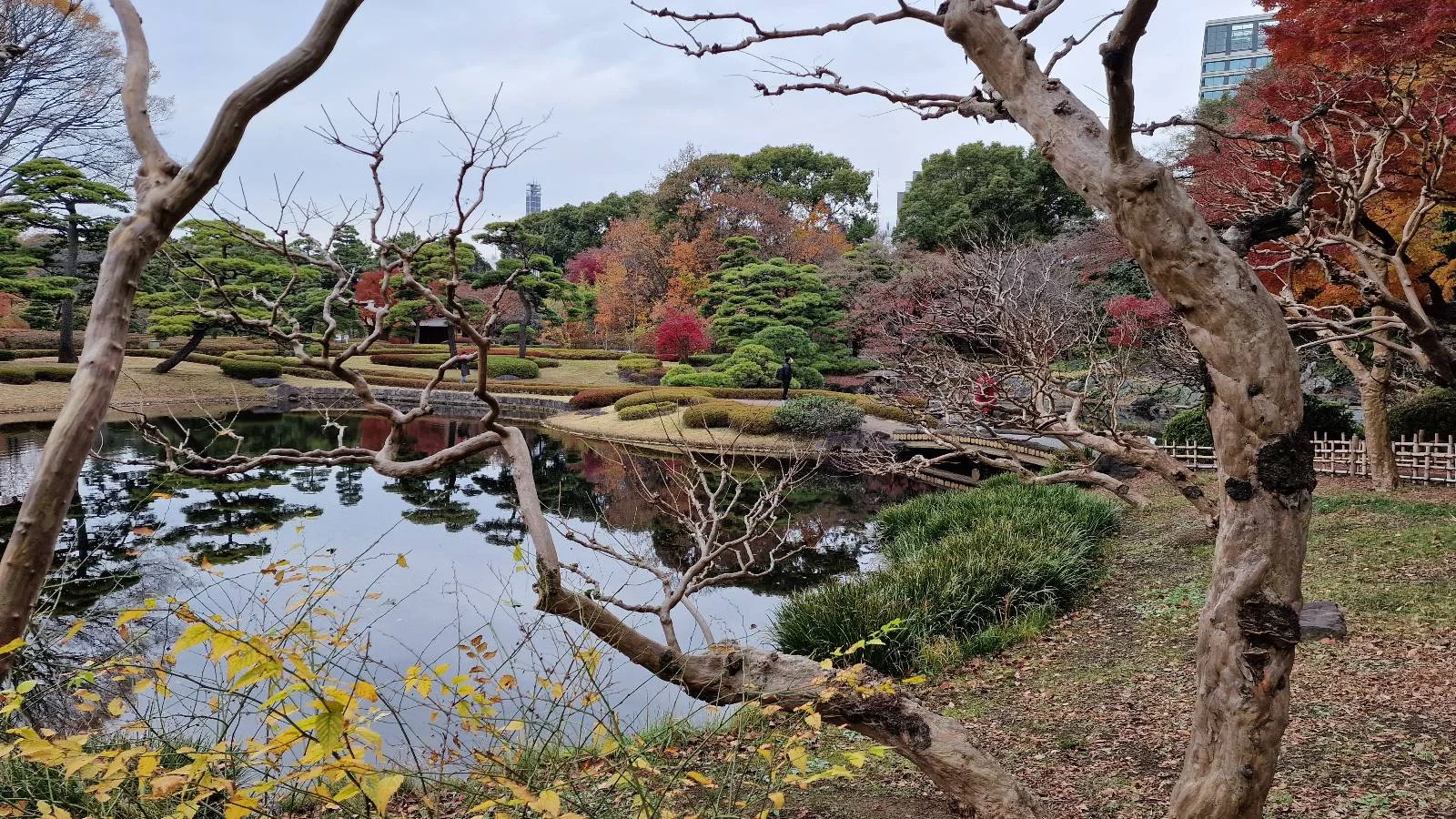 A tranquil garden scene with a pond reflecting the cloudy sky and surrounding trees. Various trees display autumn colors, from green to vibrant red and orange. Bare branches frame the foreground, and neatly trimmed bushes line the water's edge.