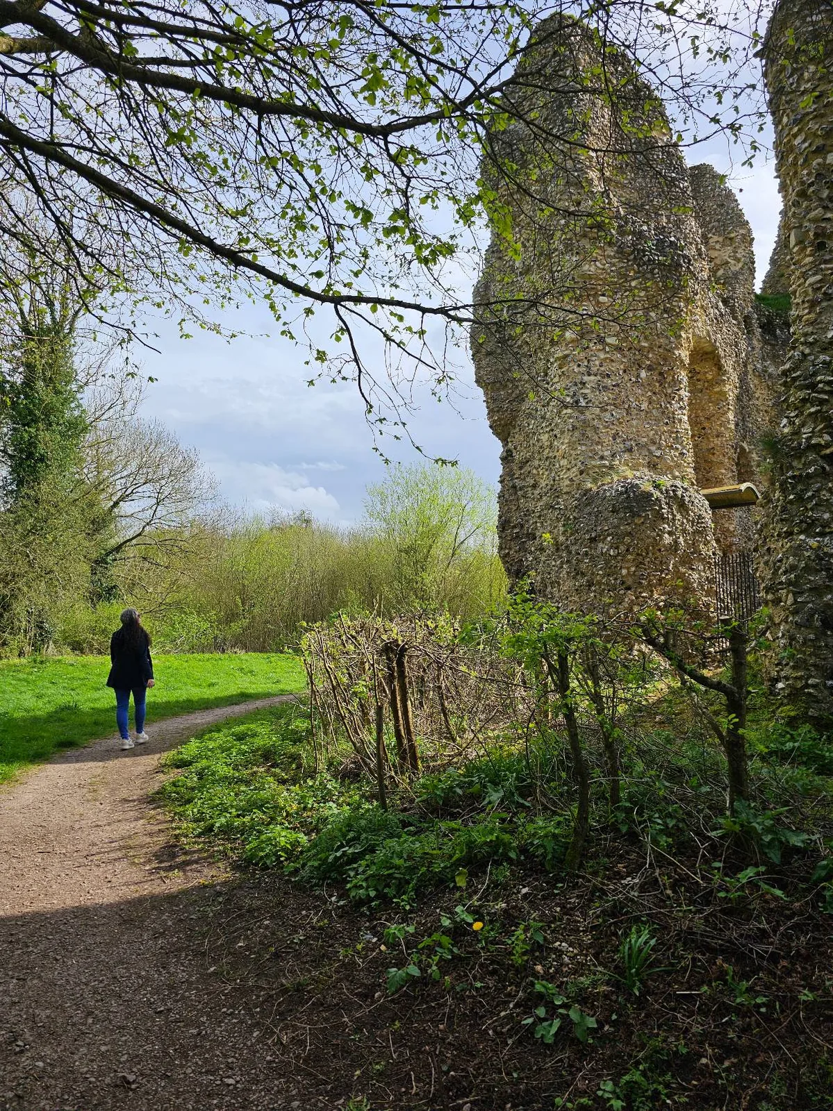 A person walking on a dirt path next to ancient stone ruins surrounded by trees and greenery.