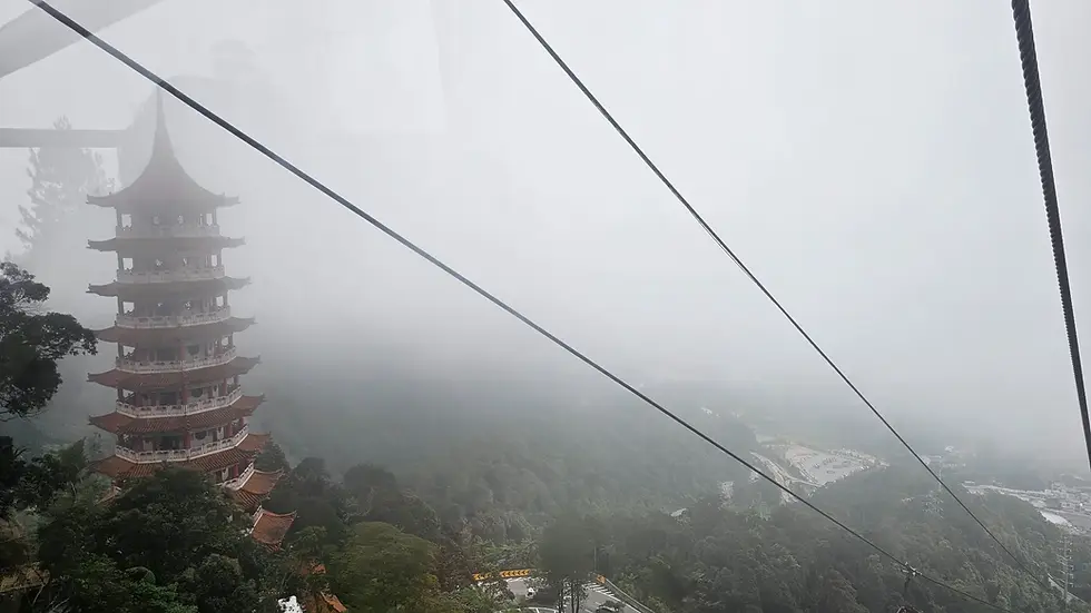 Pagoda surrounded by misty forest, seen from a cable car. Gray sky and lush greenery set a serene, mysterious mood.