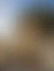 A person stands in front of a yellow building with ornate arches and colorful painted figures on the wall, likely depicting traditional Indian attire, with trees and a clear sky in the background.