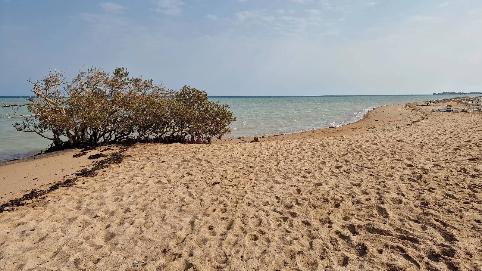 A sandy beach with sparse vegetation, including a small bush. The beach extends towards a calm, blue sea under a partly cloudy sky.