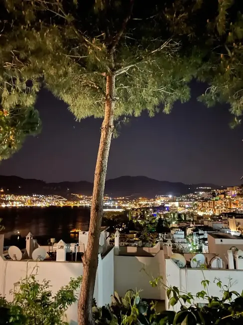 Night view of a cityscape with illuminated buildings, mountains in the background, and a tall tree in the foreground.
