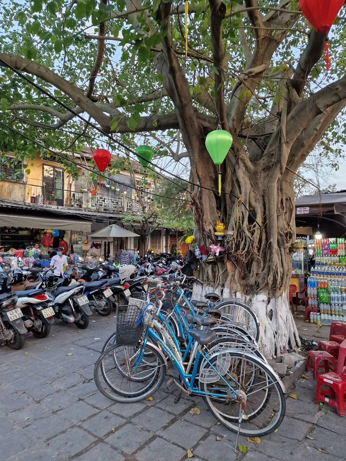 Bicycles and scooters parked under a large tree with colorful lanterns hanging from it; stalls and tables with various goods are visible in the background.