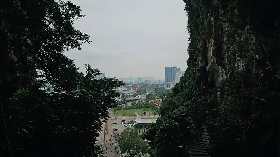 View from cave entrance overlooking a cityscape with tall buildings. Lush greenery frames the scene, creating a natural, tranquil mood.