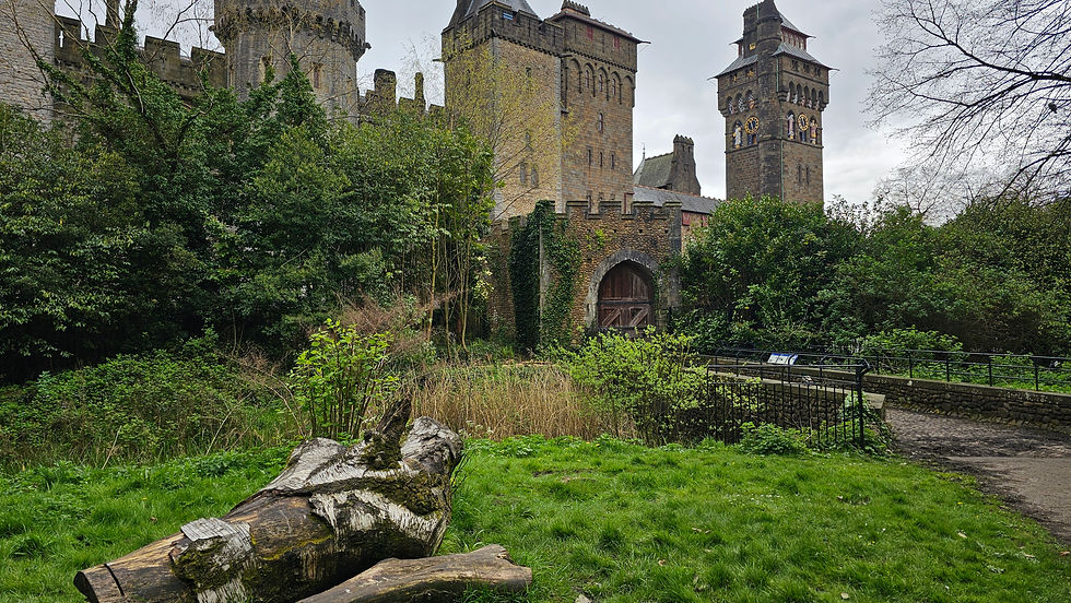 A medieval-style castle with multiple towers surrounded by lush greenery, a pond in the foreground, and a wooden log in the front.