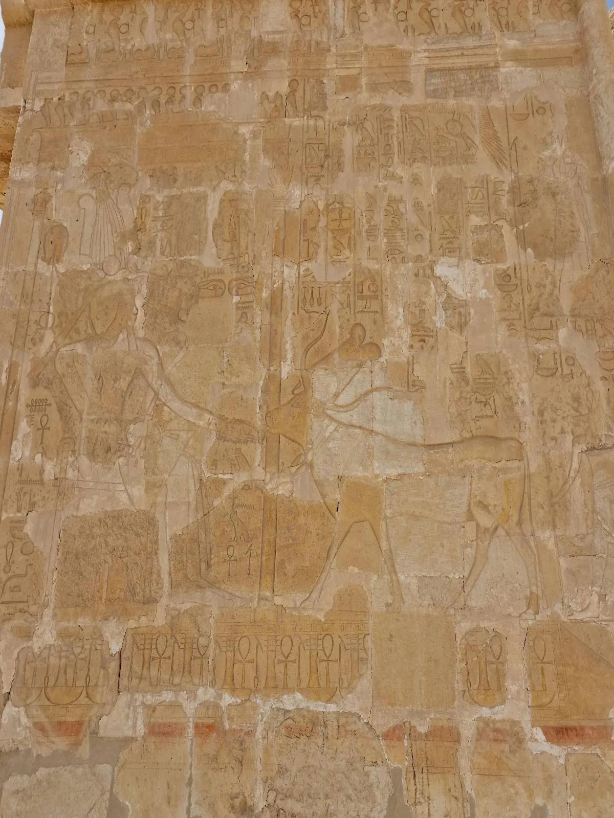 Ancient stone wall with faded carvings and hieroglyphs, featuring a large bird figure prominently in the middle. The surface appears weathered, with a golden-brown hue.