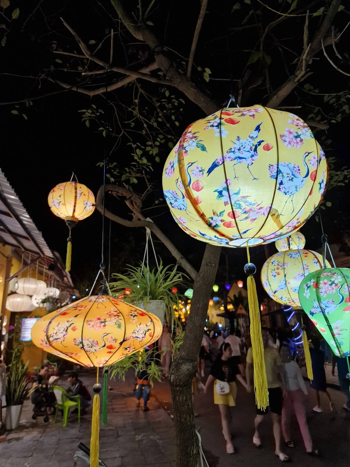 Colorful lanterns hang from trees at night, illuminating a busy outdoor market area with people walking by.