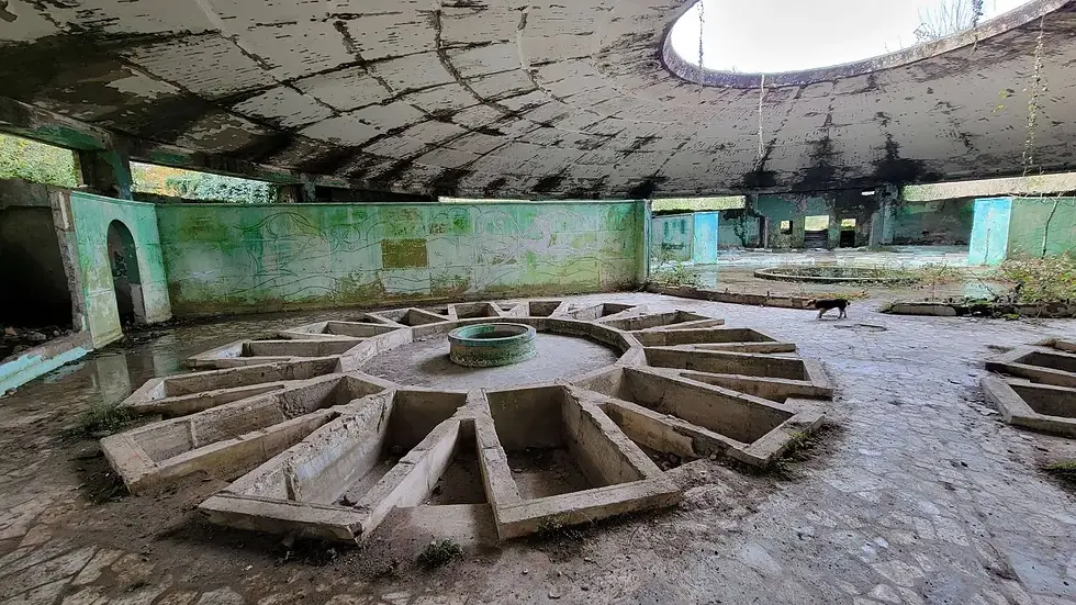 Abandoned circular building with a deteriorating interior and graffiti-covered walls, featuring a central concrete structure and a stray dog walking through.