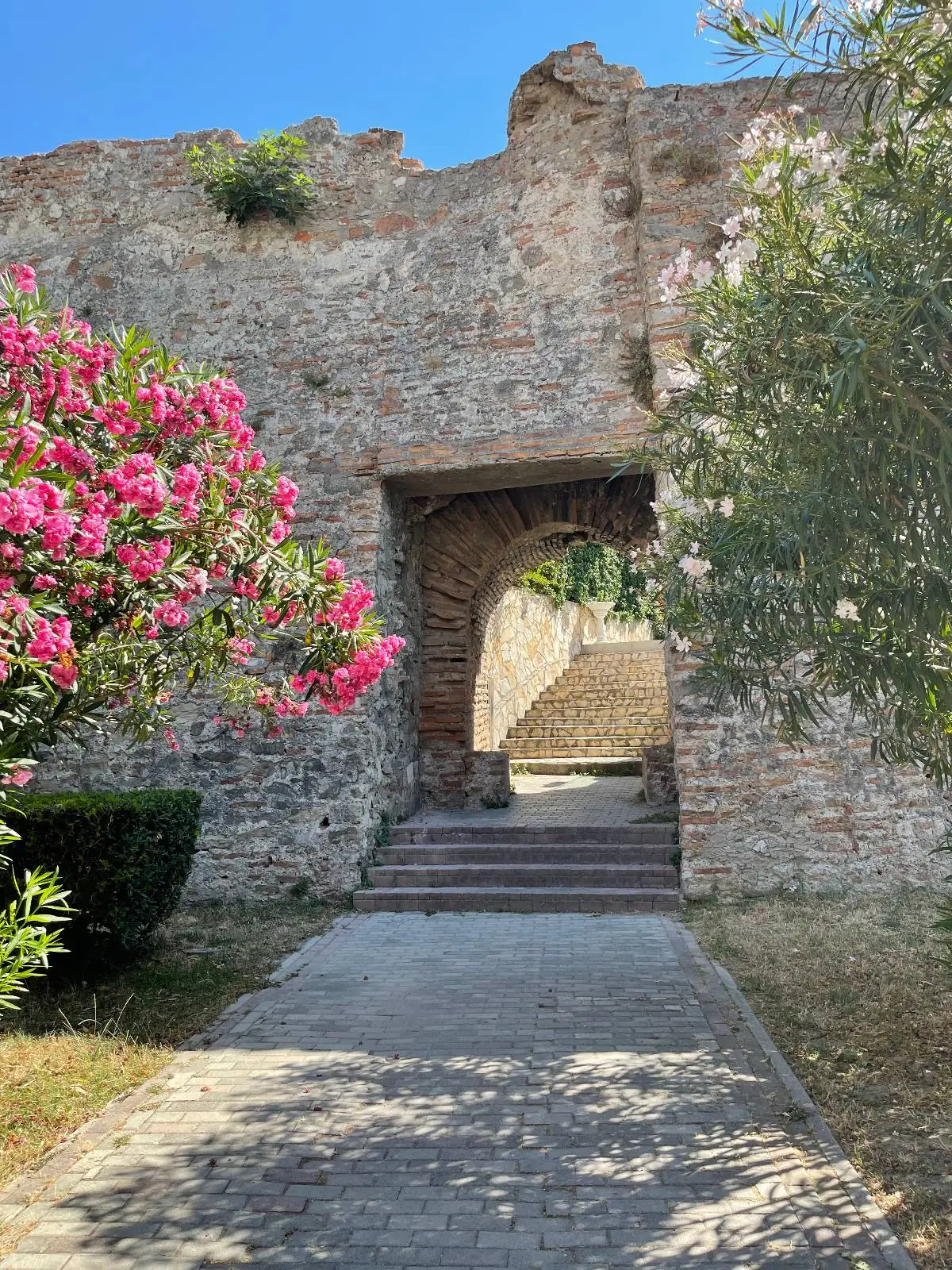 An old stone archway with stairs leading through it is surrounded by blooming pink flowers and leafy trees under a bright blue sky.