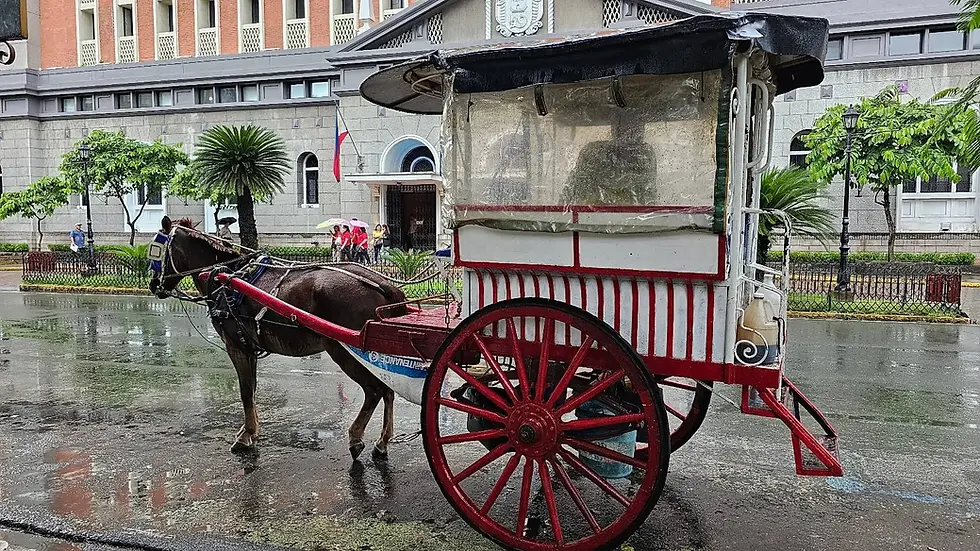 Horse-drawn carriage with red wheels on a rainy street, near a historic building with trees. People with umbrellas in the background.