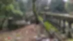 Moss-covered stone railing and stairs in an overgrown park. Litter scattered on the ground. Gloomy atmosphere with dense trees.