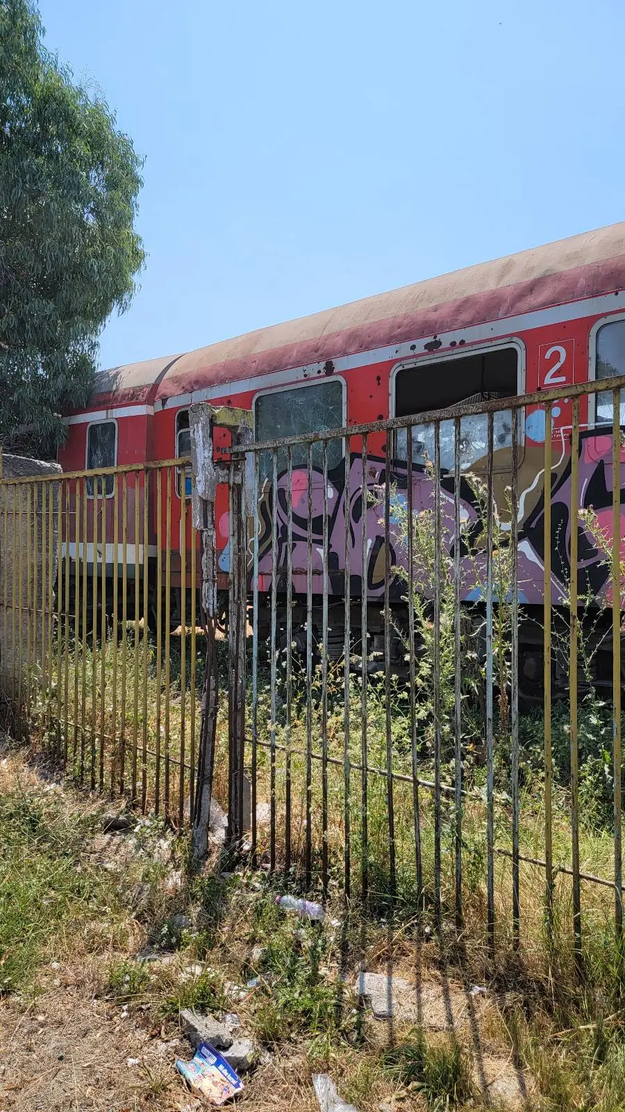 A rusted, red train car covered in graffiti sits behind a metal fence with overgrown grass and weeds, partially shaded by a large tree under a clear blue sky.