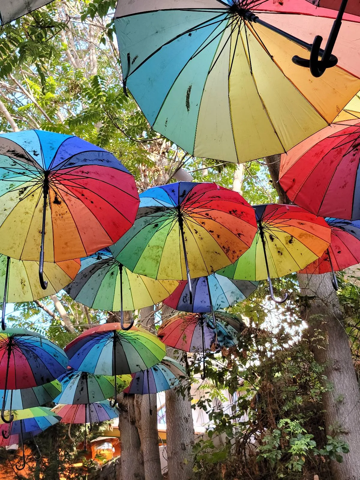 Colorful umbrellas hanging upside down from trees, creating a vibrant canopy.