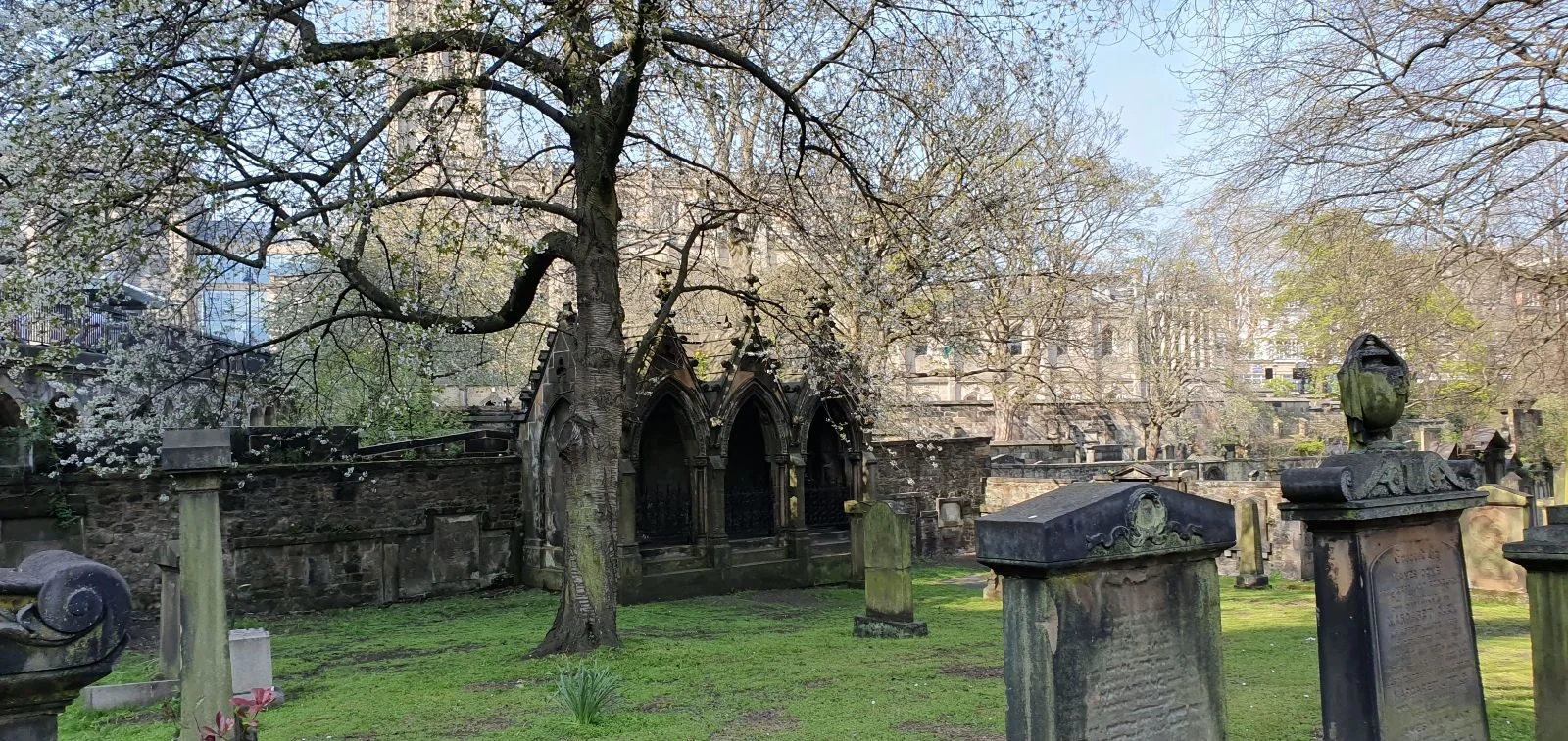 Gravestones and trees in St Cuthbert’s Churchyard, Edinburgh, with historic stone buildings and arches in the background.