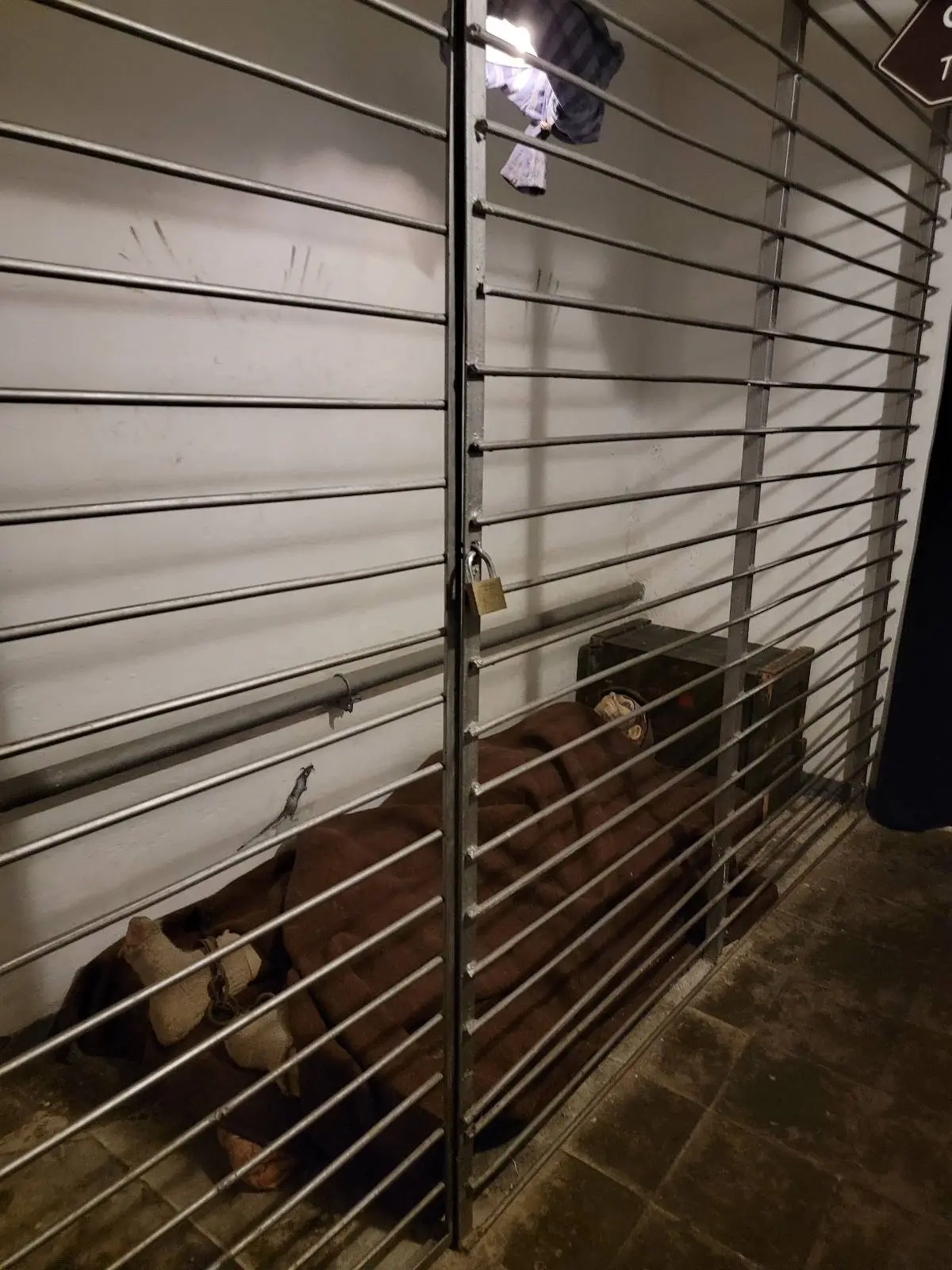 A brown and white mannequin lying inside a metal-barred enclosure on a concrete floor. The enclosure is located in a dimly lit area, with white walls and several pieces of paper attached above the bars.