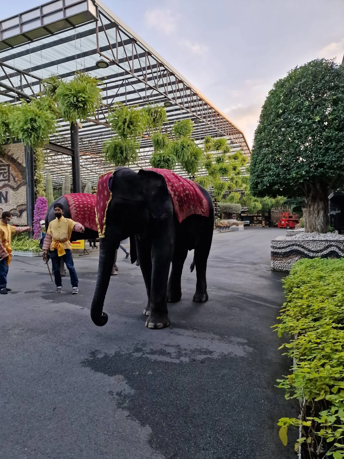 An elephant draped in a red cloth is walking along a paved path, accompanied by a person in a yellow shirt. The surroundings feature greenery, including trees and plants, with a large, modern structure in the background.