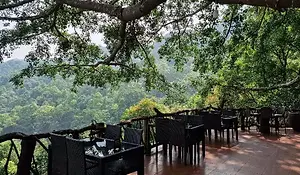 A scenic view from an elevated wooden cafe terrace built into a giant tree. Dark wicker tables and chairs overlook a vast, dense green forest canopy extending toward distant hills under a bright sky.