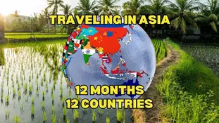 Text overlaid on an image of a rice paddy and palm trees reads, "Traveling in Asia: 12 Months, 12 Countries," with a globe showing Asian countries' flags.