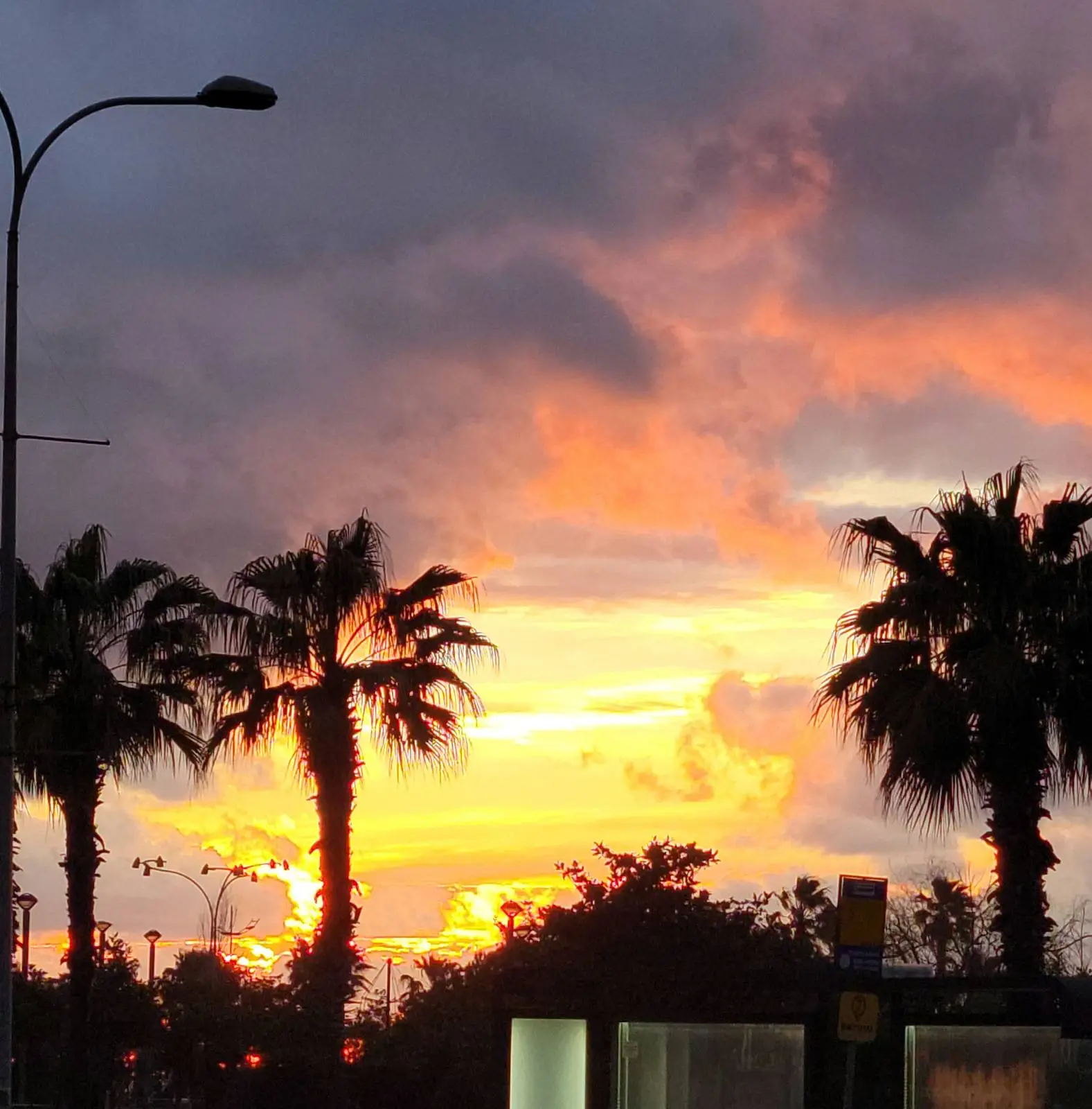 Palm trees silhouetted against a vibrant sunset sky with dramatic clouds in shades of orange, yellow, and purple. A streetlight is visible on the left.