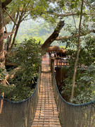 A narrow wooden suspension bridge with mesh sides winds through the lush green treetops of the mountainous jungle to a treehouse cafe. Sunlight filters through the dense foliage, creating a serene and adventurous atmosphere in this hidden gem, The Giant Treehouse Chiang Mai Cafe.