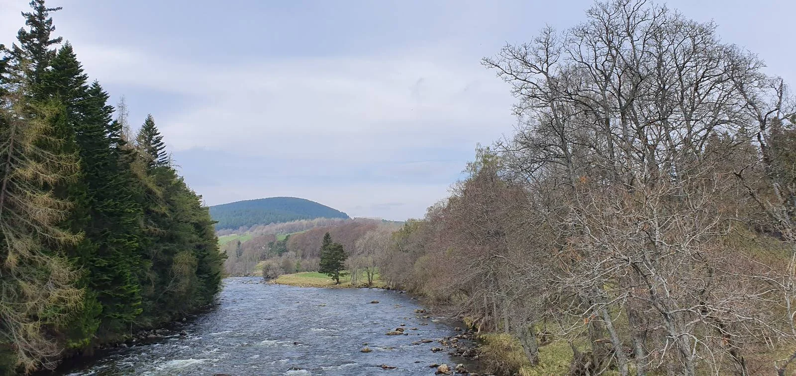 A scenic view of a river flowing between two banks lined with trees. The left bank has dense evergreen trees, while the right bank has deciduous trees with bare branches. A distant hill is visible under a cloudy sky.