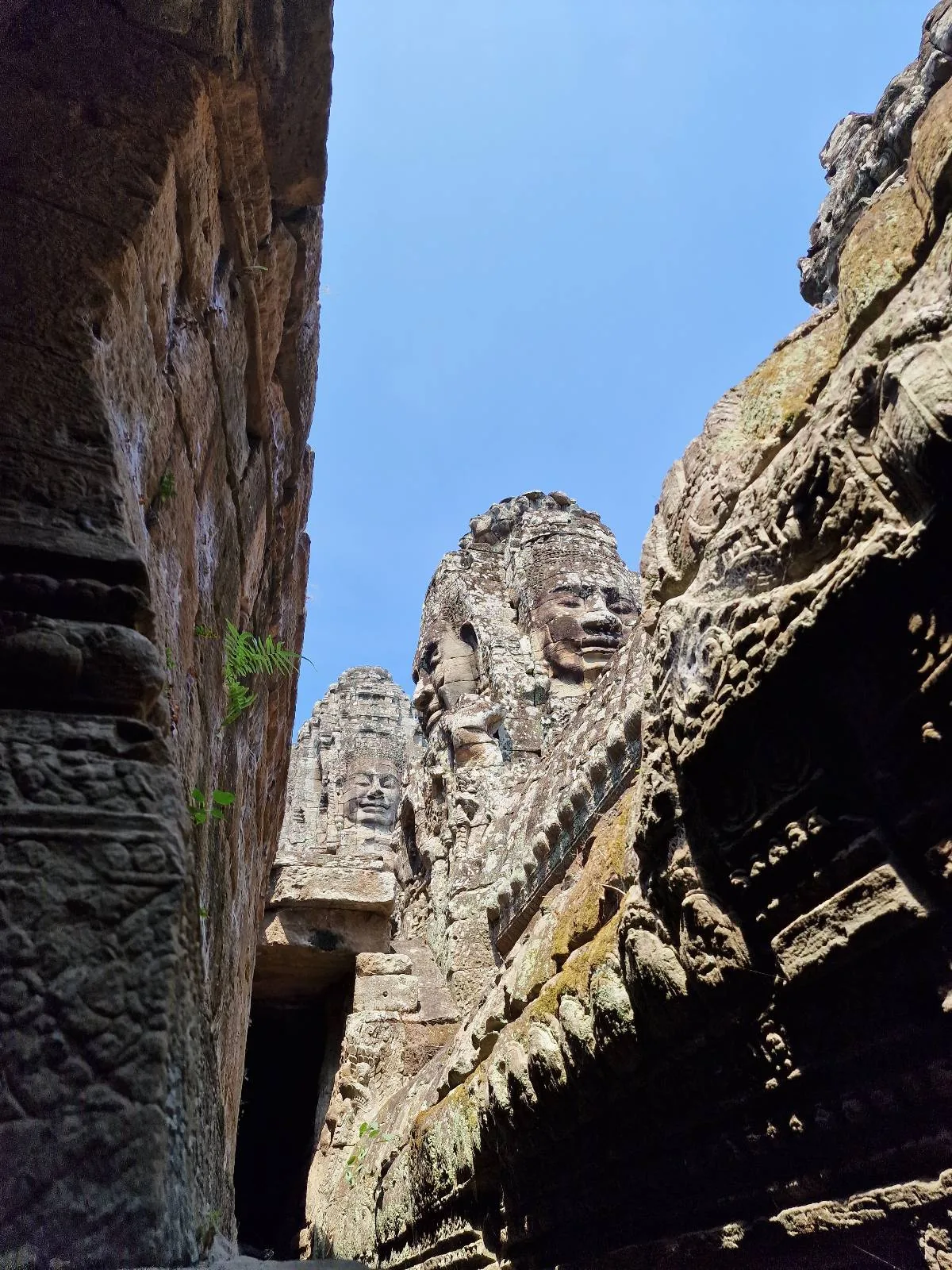 Stone faces carved into the ancient towers of a temple rise against a clear blue sky, viewed from a narrow passage with detailed stone walls and lush green plants growing out of the rocks.
