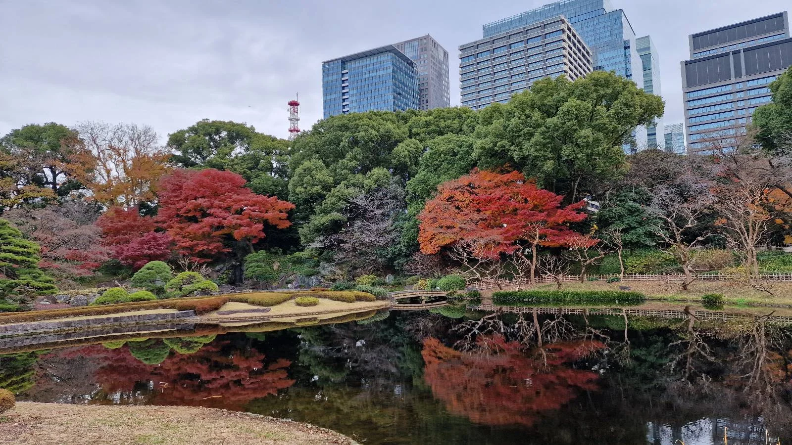 A serene garden scene with vibrant red and orange autumn trees reflected in a calm pond. Tall modern buildings rise in the background, contrasting with the natural beauty of the garden. Cloudy sky overhead.