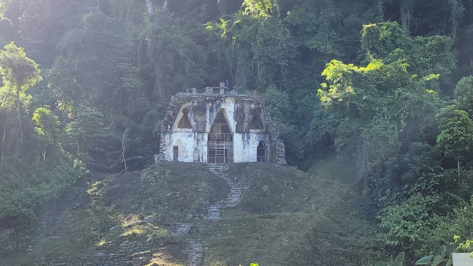 A small, ancient stone structure is nestled in a lush, green forest. Sunlight filters through the dense foliage, casting light on the building. A narrow pathway leads up to it, surrounded by tall trees and vegetation.