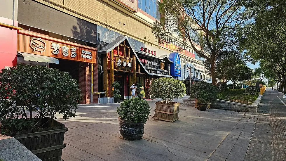 Shops with colorful signs on a tree-lined street, including "Dodo Family." A person stands nearby, creating a calm urban scene.