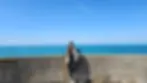 A woman leaning against a seaside wall under a clear blue sky, facing the calm blue ocean.