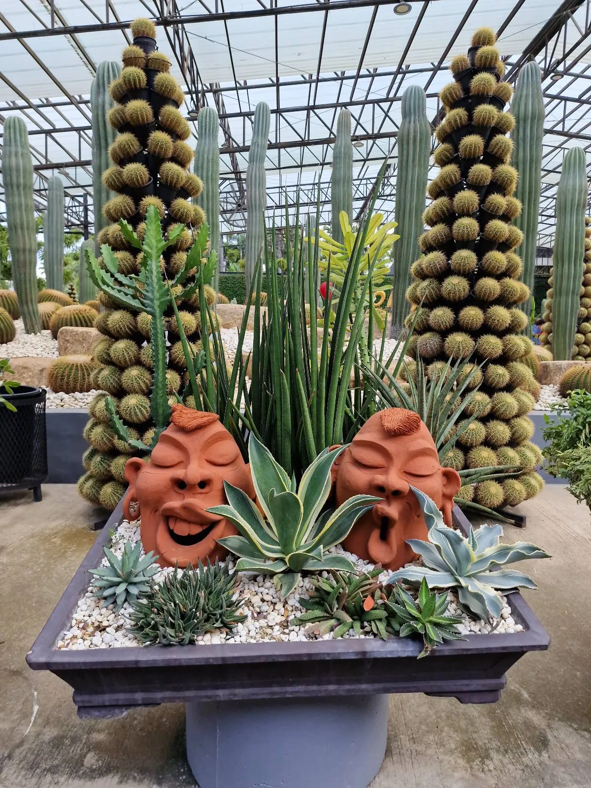 A decorative planter featuring two terracotta masks surrounded by a variety of succulents. In the background, tall cacti and pyramid-shaped arrangements of small round cacti are displayed in a greenhouse setting.