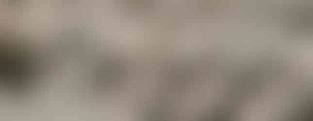 Rows of the Terracotta Army statues, partially buried in earth, stand in an archaeological excavation site in China. The life-sized soldier figures have distinct facial features and are positioned in formation.